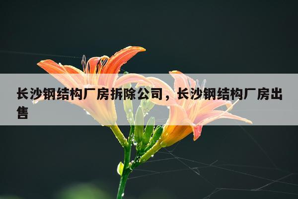 长沙钢结构厂房拆除公司，长沙钢结构厂房出售