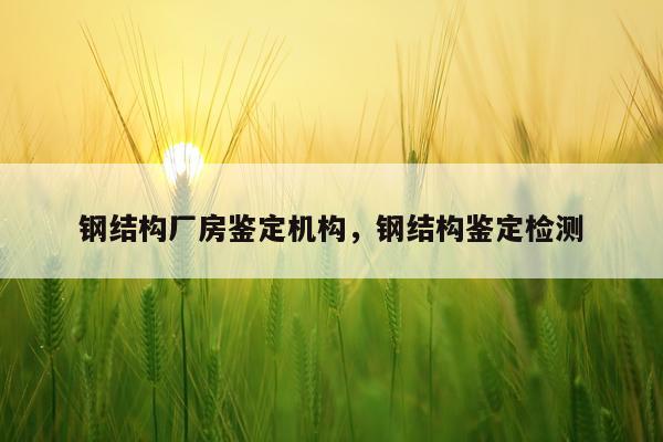 钢结构厂房鉴定机构，钢结构鉴定检测