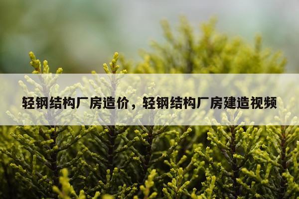 轻钢结构厂房造价，轻钢结构厂房建造视频