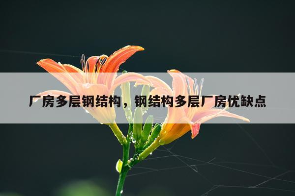 厂房多层钢结构，钢结构多层厂房优缺点
