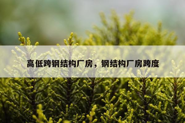 高低跨钢结构厂房，钢结构厂房跨度