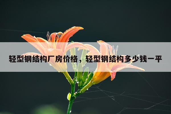 轻型钢结构厂房价格，轻型钢结构多少钱一平
