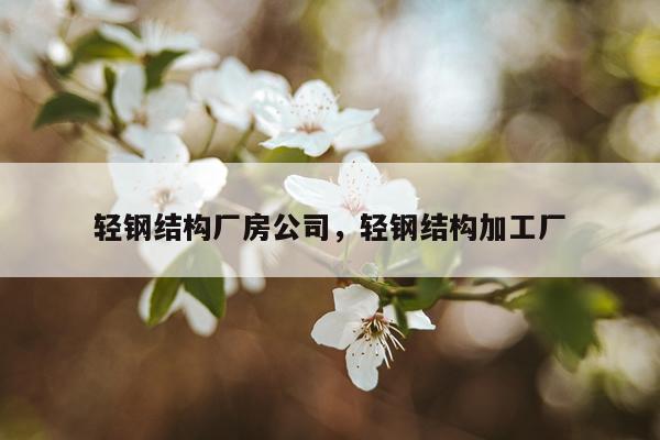 轻钢结构厂房公司，轻钢结构加工厂