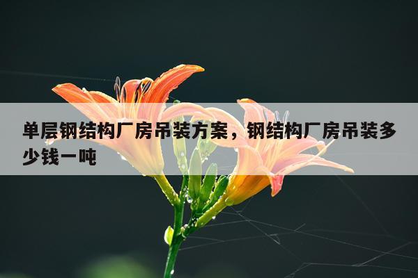 单层钢结构厂房吊装方案，钢结构厂房吊装多少钱一吨