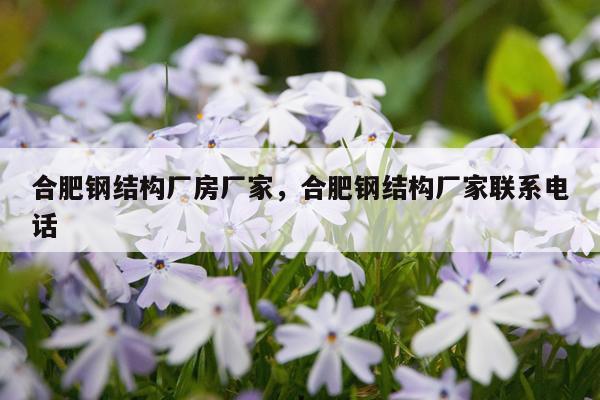 合肥钢结构厂房厂家，合肥钢结构厂家联系电话