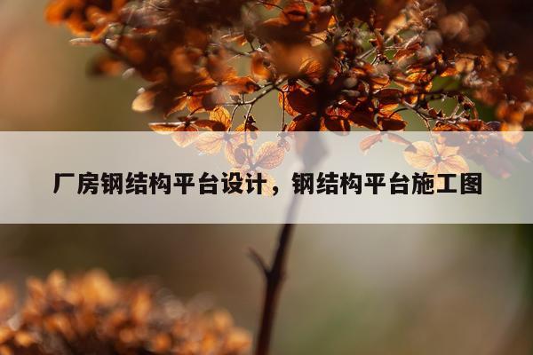 厂房钢结构平台设计，钢结构平台施工图