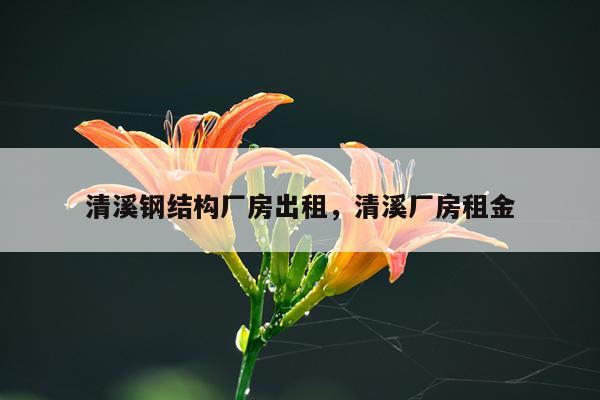 清溪钢结构厂房出租，清溪厂房租金