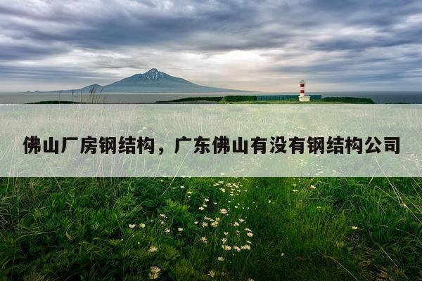 佛山厂房钢结构，广东佛山有没有钢结构公司