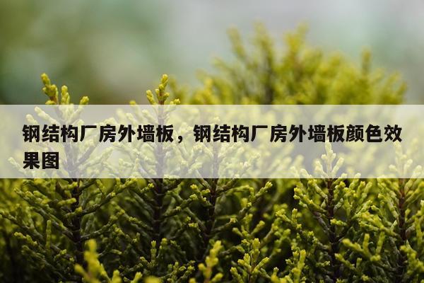 钢结构厂房外墙板，钢结构厂房外墙板颜色效果图