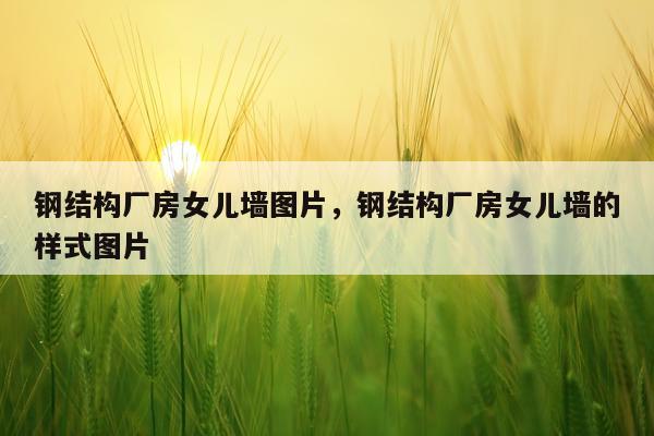 钢结构厂房女儿墙图片，钢结构厂房女儿墙的样式图片