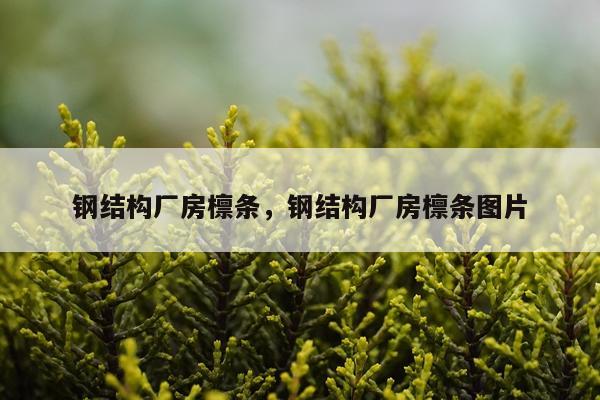 钢结构厂房檩条，钢结构厂房檩条图片