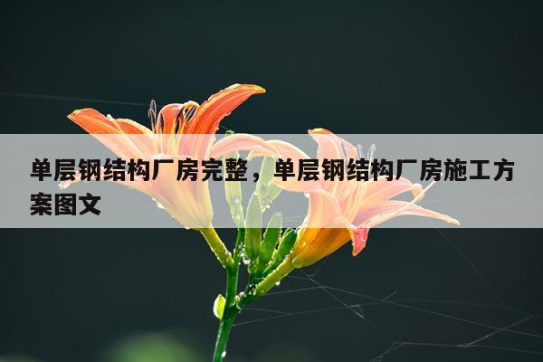 单层钢结构厂房完整，单层钢结构厂房施工方案图文