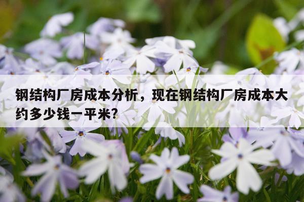 钢结构厂房成本分析，现在钢结构厂房成本大约多少钱一平米?