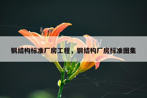 钢结构标准厂房工程，钢结构厂房标准图集