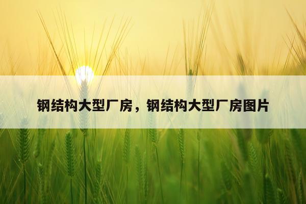 钢结构大型厂房，钢结构大型厂房图片