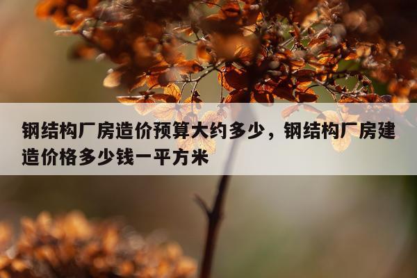 钢结构厂房造价预算大约多少，钢结构厂房建造价格多少钱一平方米