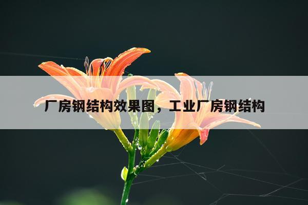 厂房钢结构效果图，工业厂房钢结构
