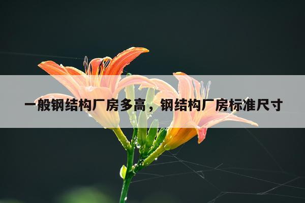 一般钢结构厂房多高，钢结构厂房标准尺寸