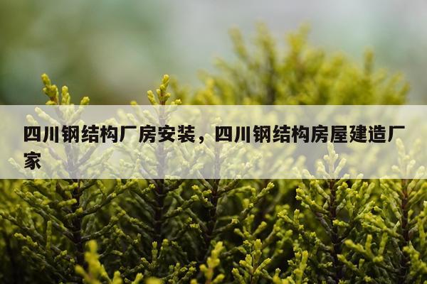 四川钢结构厂房安装，四川钢结构房屋建造厂家