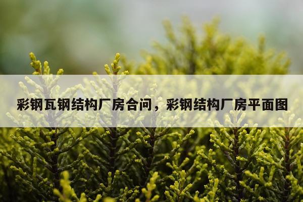 彩钢瓦钢结构厂房合问，彩钢结构厂房平面图