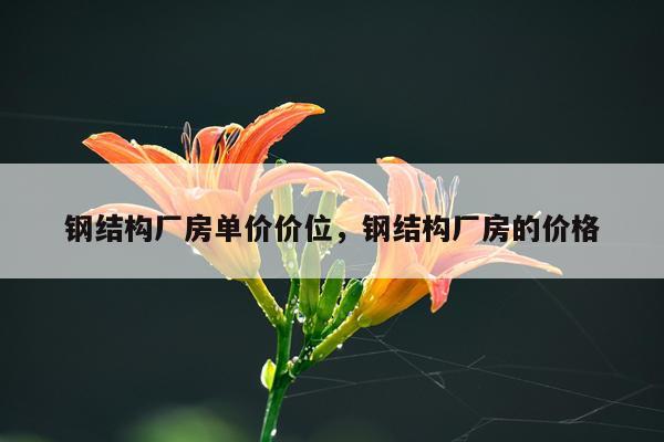 钢结构厂房单价价位，钢结构厂房的价格