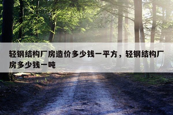 轻钢结构厂房造价多少钱一平方，轻钢结构厂房多少钱一吨