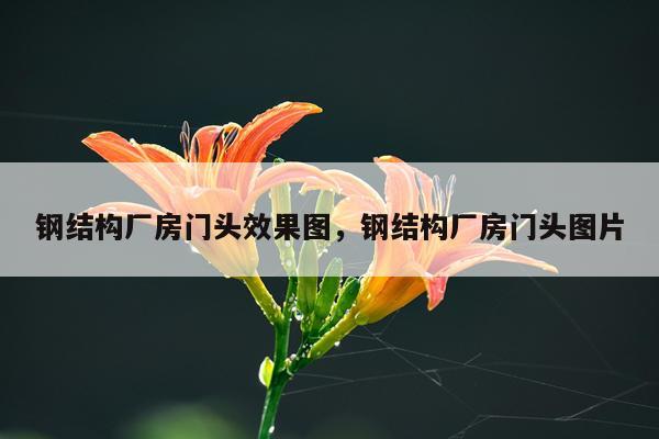 钢结构厂房门头效果图，钢结构厂房门头图片