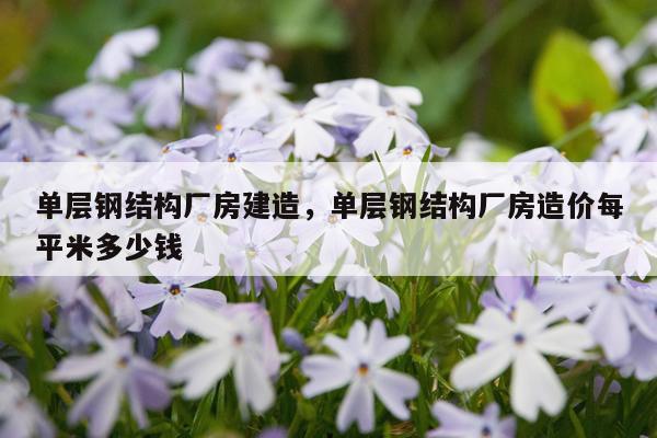 单层钢结构厂房建造，单层钢结构厂房造价每平米多少钱