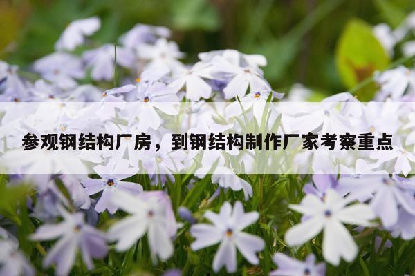 参观钢结构厂房，到钢结构制作厂家考察重点