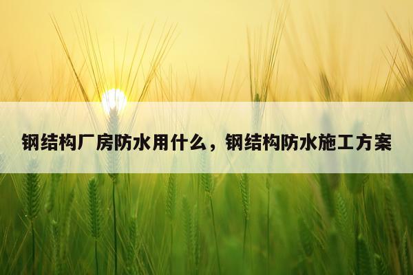 钢结构厂房防水用什么，钢结构防水施工方案