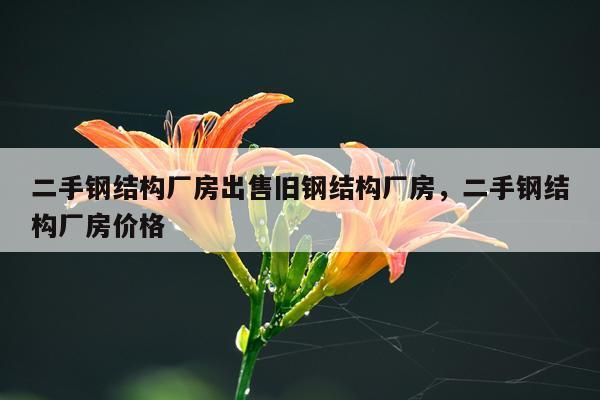 二手钢结构厂房出售旧钢结构厂房，二手钢结构厂房价格