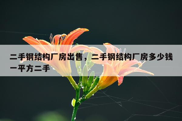 二手钢结构厂房出售，二手钢结构厂房多少钱一平方二手