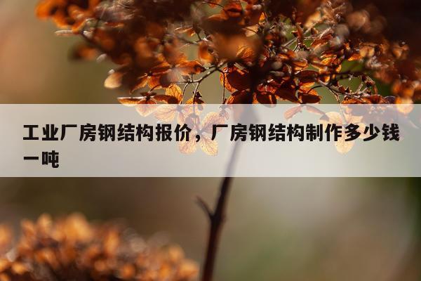 工业厂房钢结构报价，厂房钢结构制作多少钱一吨