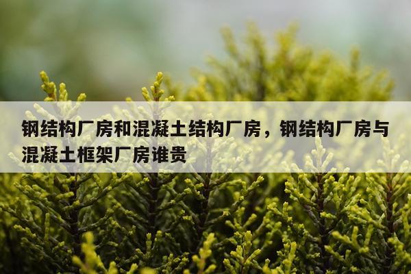 钢结构厂房和混凝土结构厂房，钢结构厂房与混凝土框架厂房谁贵