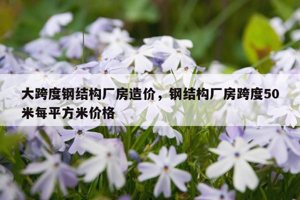 大跨度钢结构厂房造价，钢结构厂房跨度50米每平方米价格