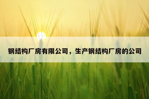 钢结构厂房有限公司，生产钢结构厂房的公司