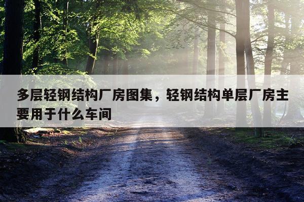 多层轻钢结构厂房图集，轻钢结构单层厂房主要用于什么车间