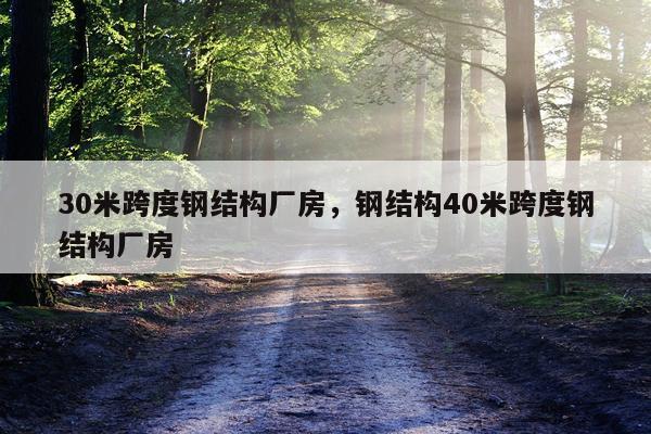 30米跨度钢结构厂房，钢结构40米跨度钢结构厂房