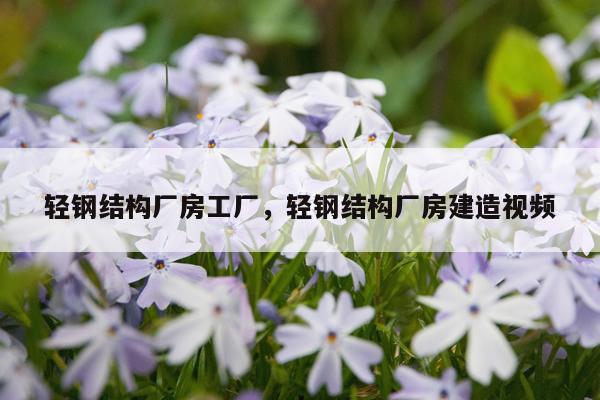 轻钢结构厂房工厂，轻钢结构厂房建造视频