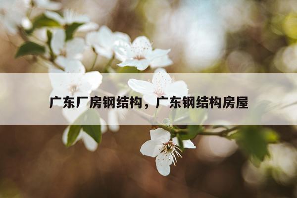 广东厂房钢结构，广东钢结构房屋