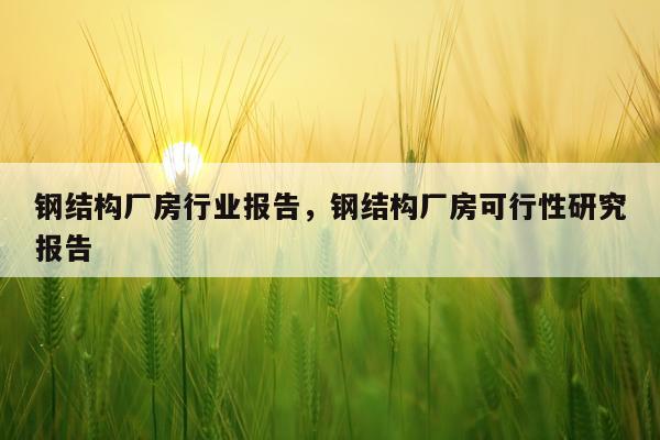 钢结构厂房行业报告，钢结构厂房可行性研究报告