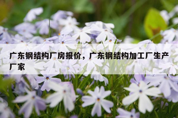 广东钢结构厂房报价，广东钢结构加工厂生产厂家