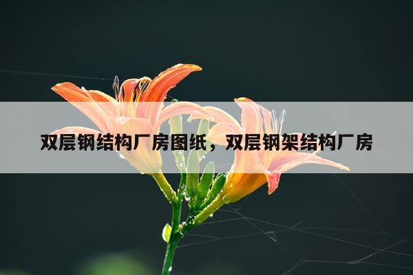双层钢结构厂房图纸，双层钢架结构厂房