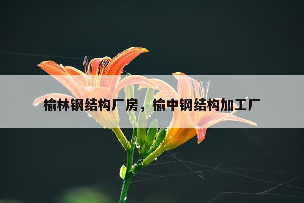 榆林钢结构厂房，榆中钢结构加工厂