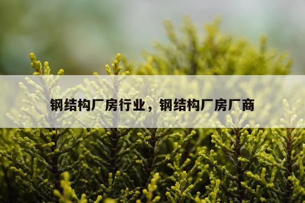 钢结构厂房行业，钢结构厂房厂商