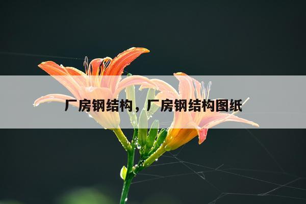 厂房钢结构，厂房钢结构图纸