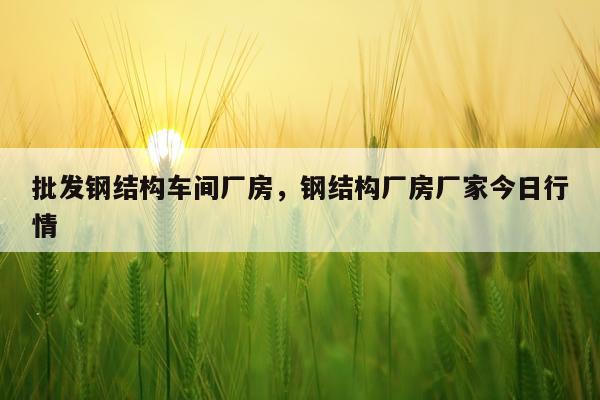 批发钢结构车间厂房，钢结构厂房厂家今日行情