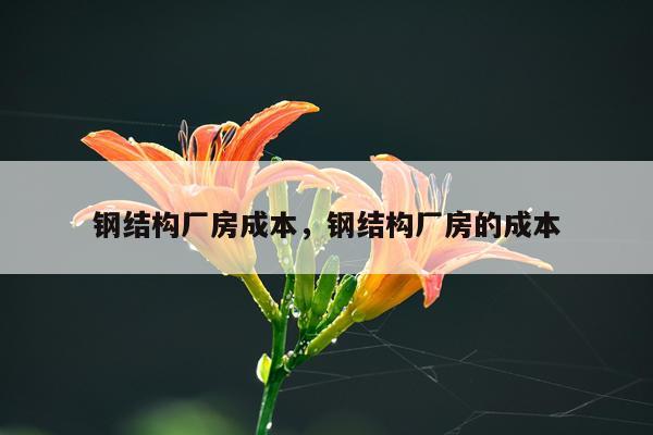 钢结构厂房成本，钢结构厂房的成本
