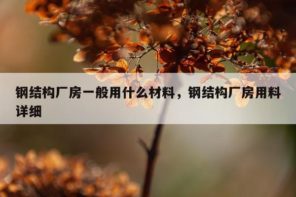 钢结构厂房一般用什么材料，钢结构厂房用料详细