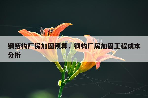 钢结构厂房加固预算，钢构厂房加固工程成本分析